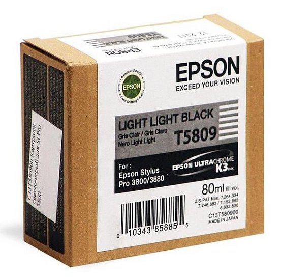  Epson T5809 (C13T580900) -